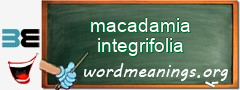 WordMeaning blackboard for macadamia integrifolia